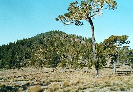 1. Pico Duarte is the highest summit of the Dominican Republic, the Island of Hispaniola, and the entire Caribbean.