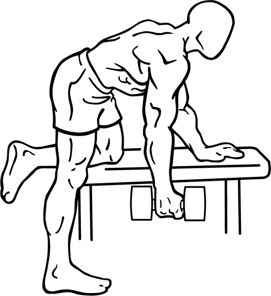 File:Rear-deltoid-row-2.png