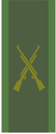 File:SWE-Army-infantry.svg