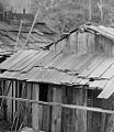 Duwamish longhouse taken in the late 1800’s.