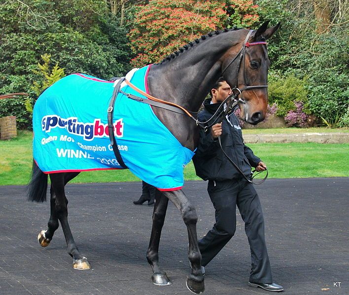 File:Sprinter Sacre (8714285217).jpg