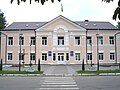 Verkhovyna district council