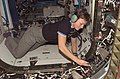 Astronaut Peggy Whitson, Expedition 16 commander, works in the vestibule between the Harmony node and Destiny laboratory of the International Space Station.