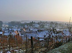 Wipfeld in winter