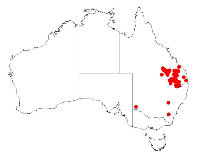 File:Acacia jucundaDistMap486.png