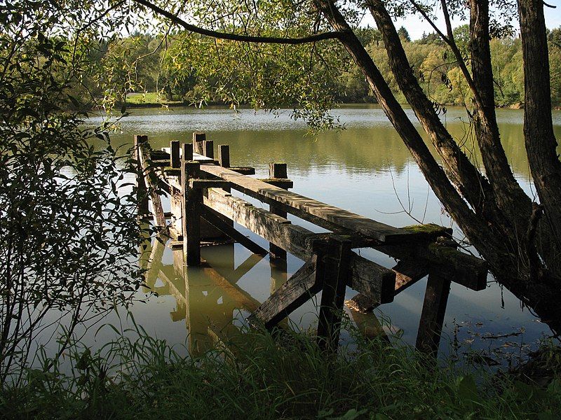 File:Atzenhain Holzwiesenteich.jpg