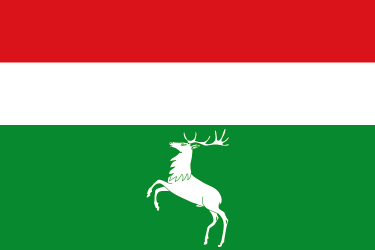 File:Bandera de Villardeciervos.svg