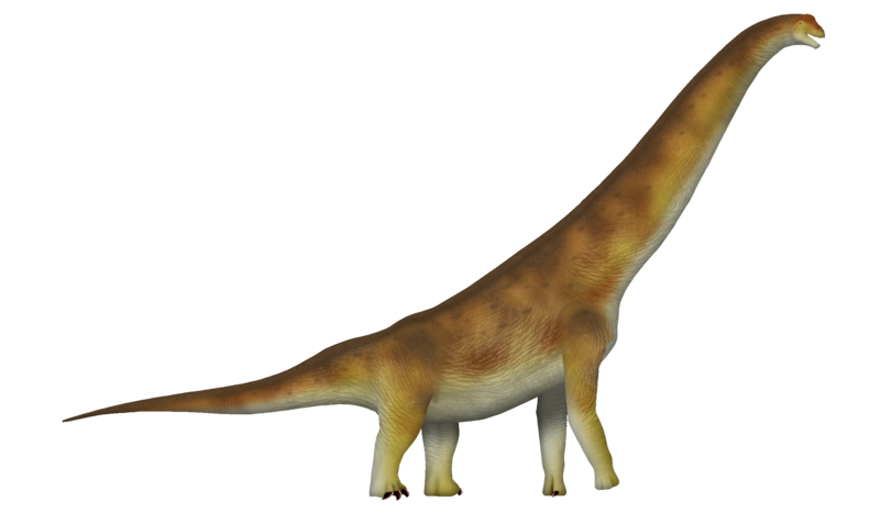 File:Brachiosaurus UDL.png