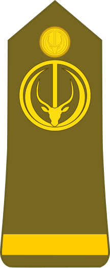 File:Chad-Army-OF-1a.svg