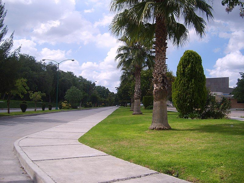 File:Cruz Azul Avenue.JPG