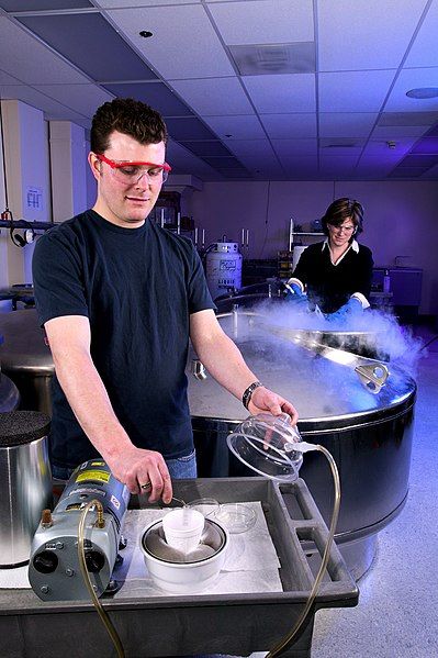 File:Cryopreservation.jpg