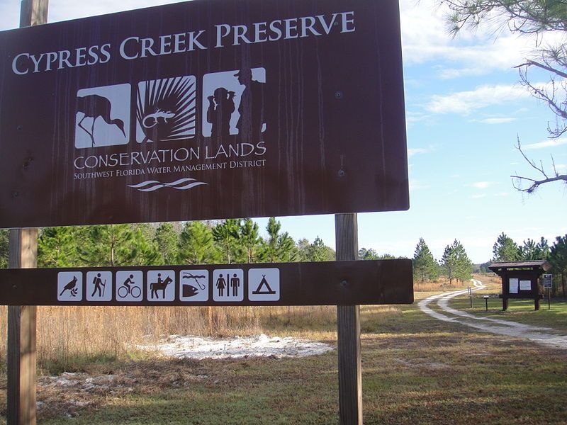 File:Cypress Creek Preserve.JPG