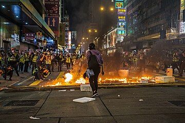 Bamboo set on fire to create a roadblock