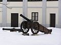 Period cannon at the exhibit's courtyard