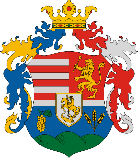 File:HUN Dunaszentgyörgy COA.svg