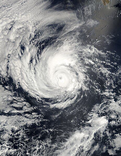 File:Hurricane Alma 2002.jpg