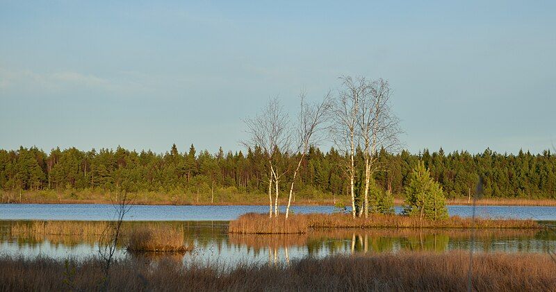 File:Laanemaa järv.JPG