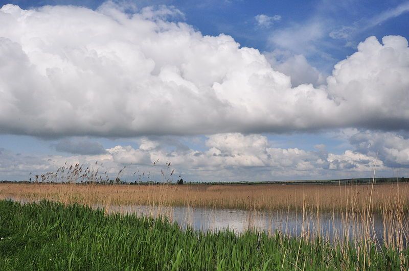 File:Olesko Pond.JPG