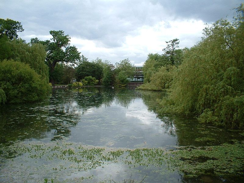 File:Orpington Pond CG.jpg