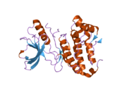 2gsf: The Human Epha3 Receptor Tyrosine Kinase and Juxtamembrane Region