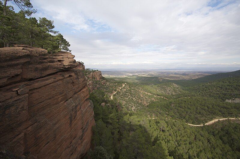 File:Pinares de Rodeno.jpg