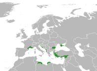 File:Ruta graveolens distribution.svg