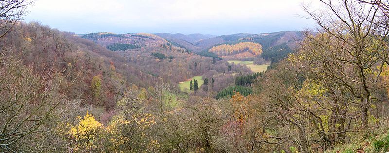 File:Selketal-alter-falkenstein.jpg