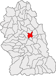 Location in Hunedoara County