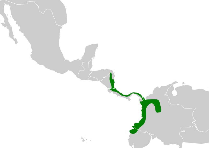 File:Tachyphonus delatrii map.svg