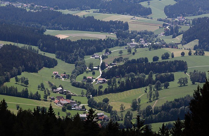 File:Tulwitz 294A9636 Steiermark.jpg