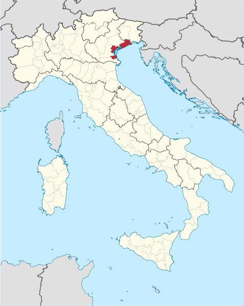 File:Venezia in Italy.svg