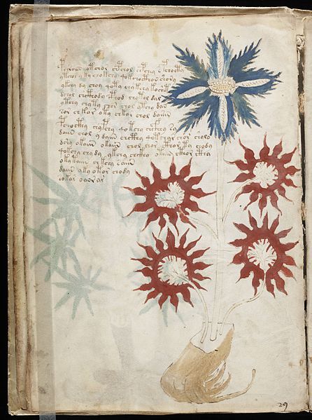 File:Voynich Manuscript (32).jpg