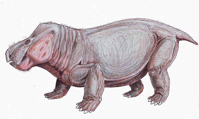 File:Wadiasaurus1DB.jpg