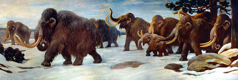 File:Wooly Mammoths.jpg