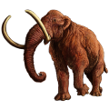 Woolly mammoth - tagged as inaccurate due to sparse fur, but we know it was seasonally affected