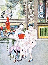 Spring Palace Illustration (also known as Chungongtu,春宮圖). Qing dynasty. 1636–1912.