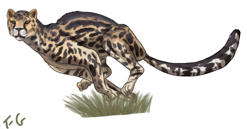 File:American cheetah.png