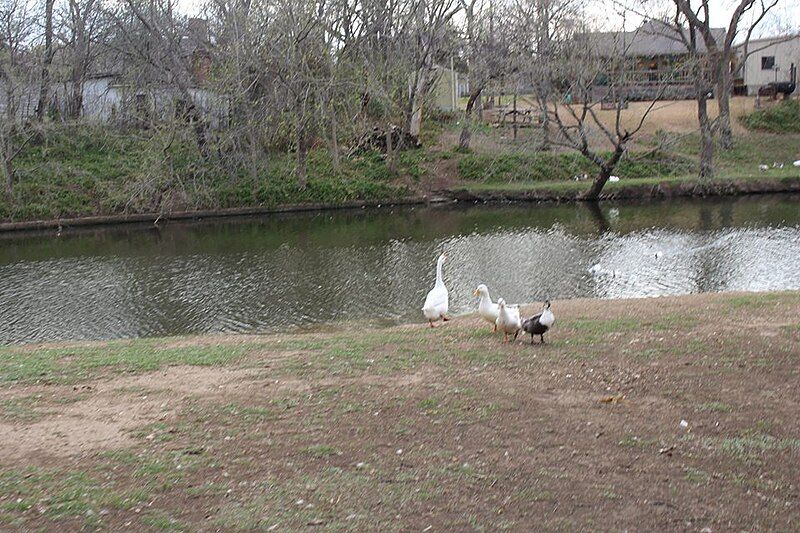 File:BuffaloCreekCleburne.jpg