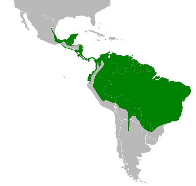 File:Claravis pretiosa map.svg