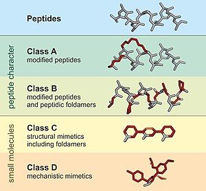 Four peptidomimetics classified (A – D), based on their similarity with the precursor peptide.