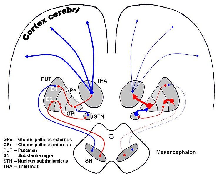 File:DA-loops in PD.jpg