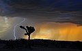 Image 83A High Desert storm in the Mojave (from Earth)