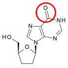 File:Didanosine med hring.svg