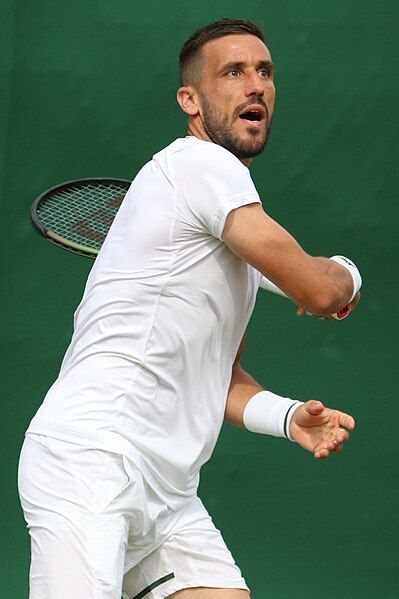 File:Dzumhur WMQ23 (53062101320).jpg