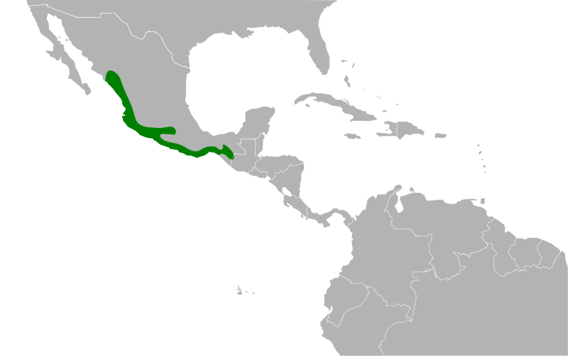 File:Granatellus venustus map.svg