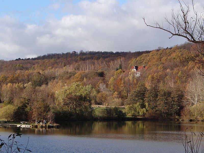 File:HarlyAmVienenburgerSee.JPG