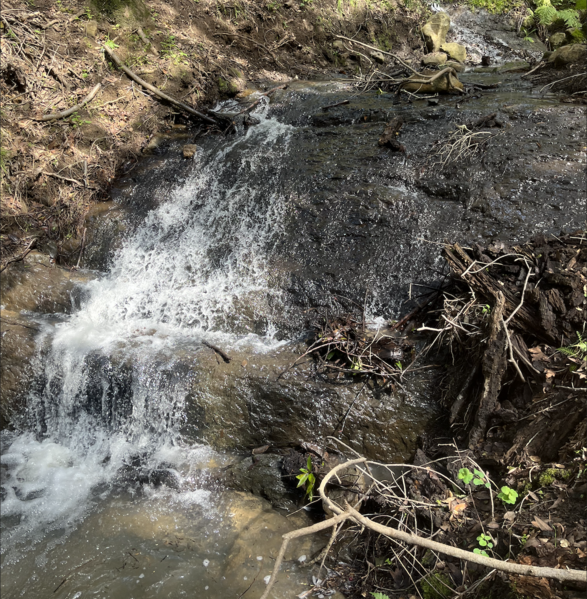 File:Kaiser Creek Basalt.png