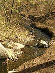 The Muddy River in early Spring