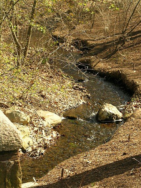 File:Olmsted-Park-Muddy-River.jpg