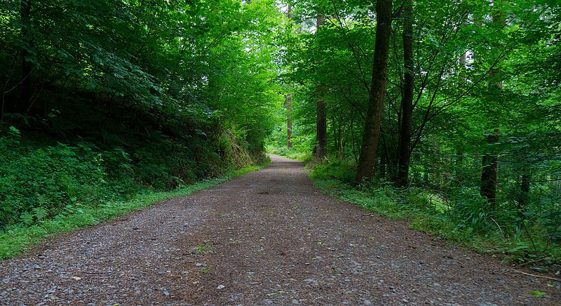 File:RavensdalePark Pathway srgb.jpg